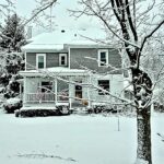 Vermont Tree Spirits