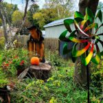 Vermont Tree Spirits