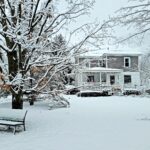 Vermont Tree Spirits