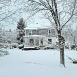 Vermont Tree Spirits