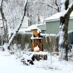 Vermont Tree Spirits